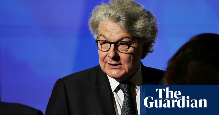 Ex European Tech Leader Accuses Elon Musk Of Lying During Afd