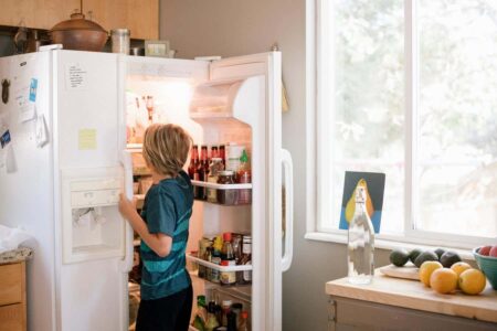 Making Refrigerators More Sustainable With Crystal Based Cooling Technology