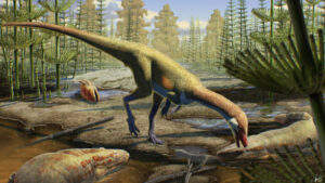 New Discovery Of Fossils Reveals A Revamped Dinosaur Evolutionary History