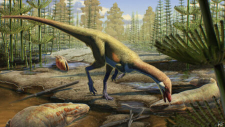 New Discovery Of Fossils Reveals A Revamped Dinosaur Evolutionary History