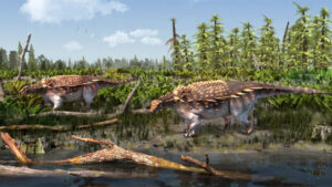 Newly Discovered Species Of Ankylosaurus Verified In China