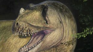 Paleontologist Identifies New Species Of Predatory Dinosaur