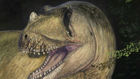 Paleontologist Identifies New Species Of Predatory Dinosaur