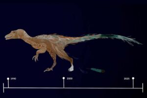 The Benefits Of Adding Feathers To Jurassic Park's Velociraptors