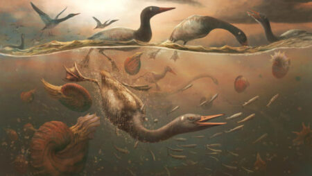 69 Million Years Ago, The Famous Waterfowl Of Antarctica Was