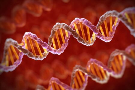 Ai Can Rapidly Decode Digital Data Stored In Dna In