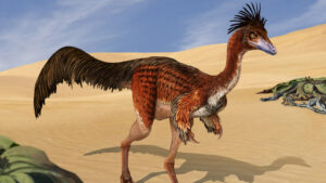 Fresh Fossils Discovered In Patagonia