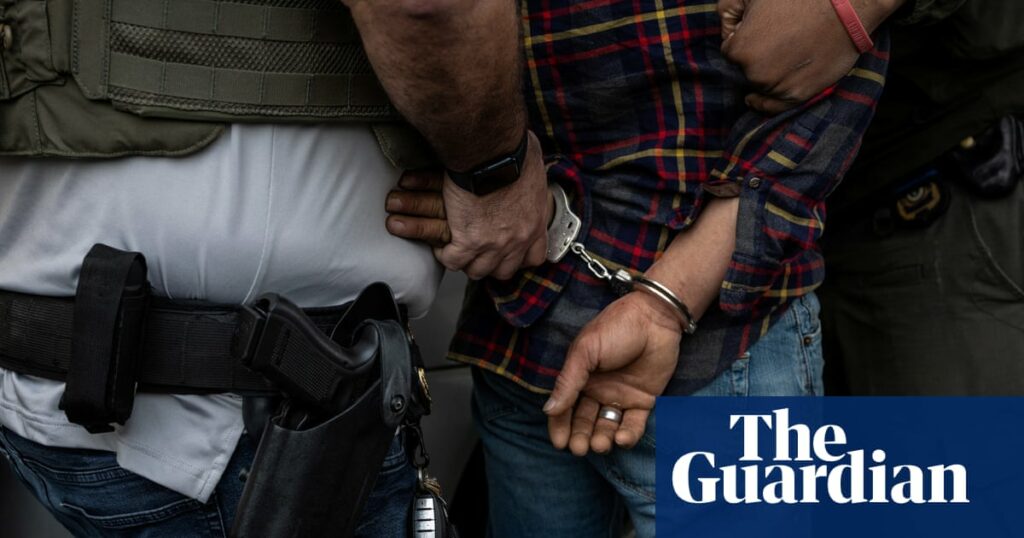 Plans For Increased Surveillance By Ice Contractors During Trump's Immigration