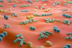 Sexually Transmitted Microorganisms In Forensic Investigations: A Potential Tool