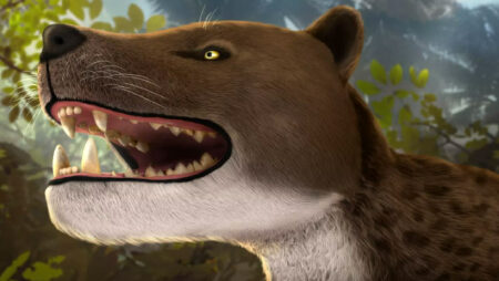 The Terrifying Hyena Like Creature Roamed Africa 30 Million Years Ago.