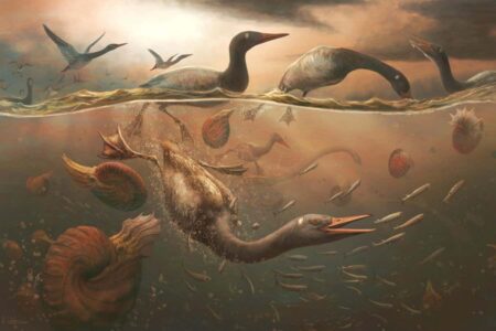 The ancient ancestors of geese are the earliest recorded modern birds The Ancient Ancestors Of Geese Are The Earliest Recorded Modern