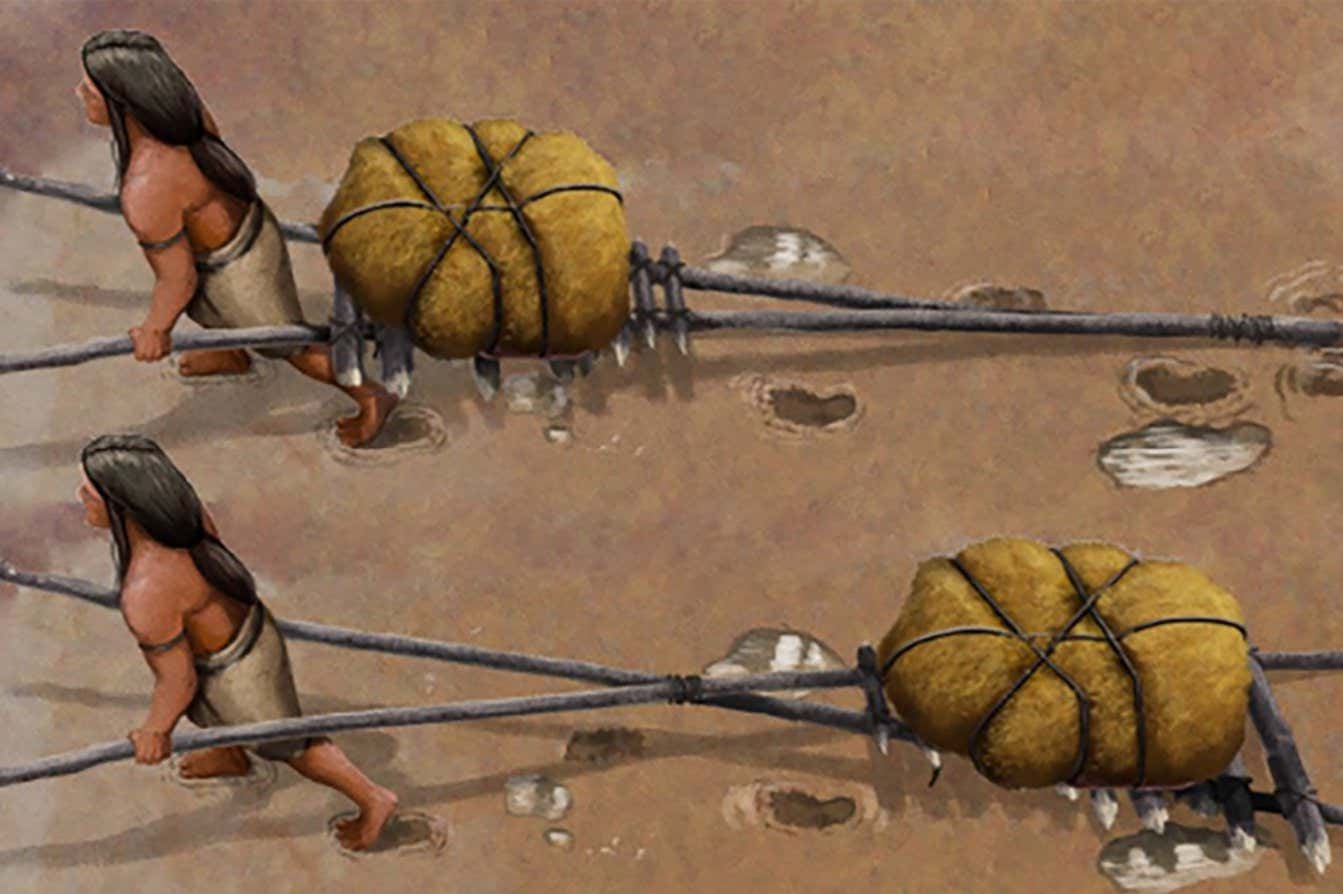 The earliest evidence of transport vehicles is the 22,000-year-old trucks 1 The Earliest Evidence Of Transport Vehicles Is The 22,000 Year Old Trucks