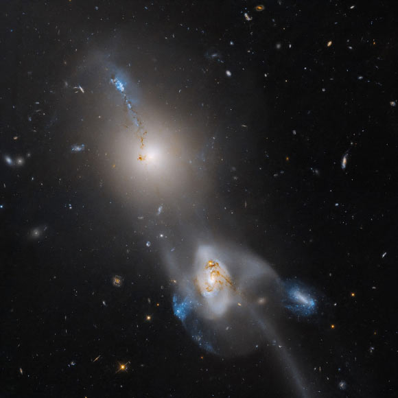 ARP 105: Hubble Captures Ongoing Merger of Two Massive Galaxies Arp 105: hubble captures ongoing merger of two massive galaxies