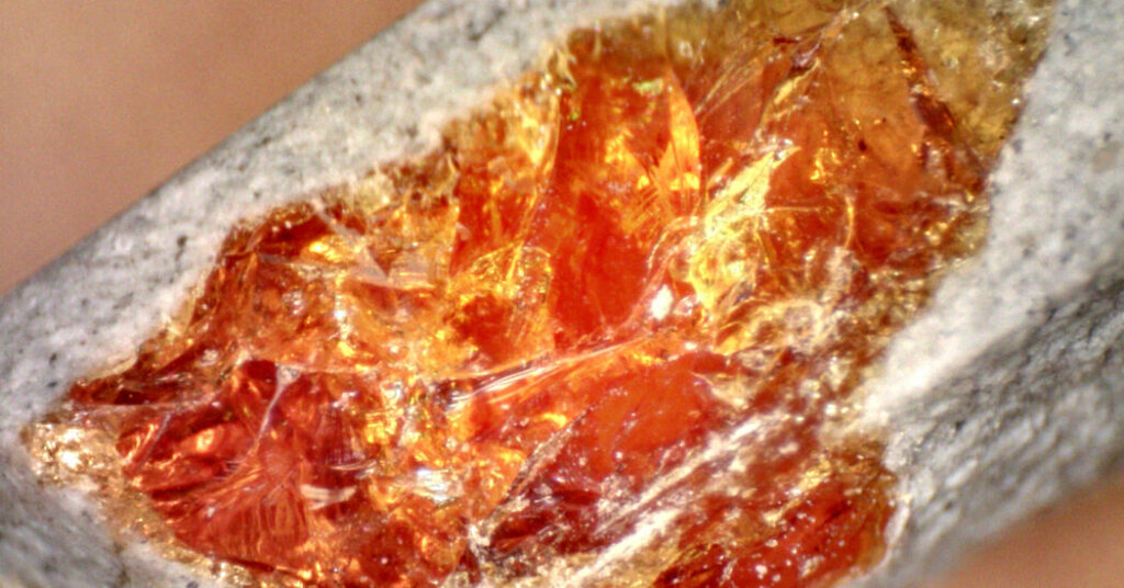 Amber fossils: create in 24 hours, not millions of years