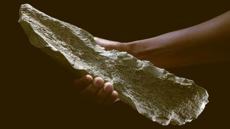 Ancient bone tool unearthed in tanzania dates back 1.5 million