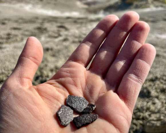 Eggshell Fossils of Dinosaurs and Crocodiles from 100 Million Years Ago Unearthed in Utah Eggshell fossils of dinosaurs and crocodiles from 100 million years