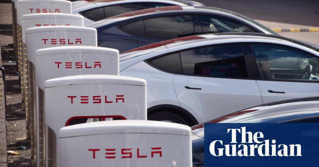 European tesla owners: passion for cars, not the ceo