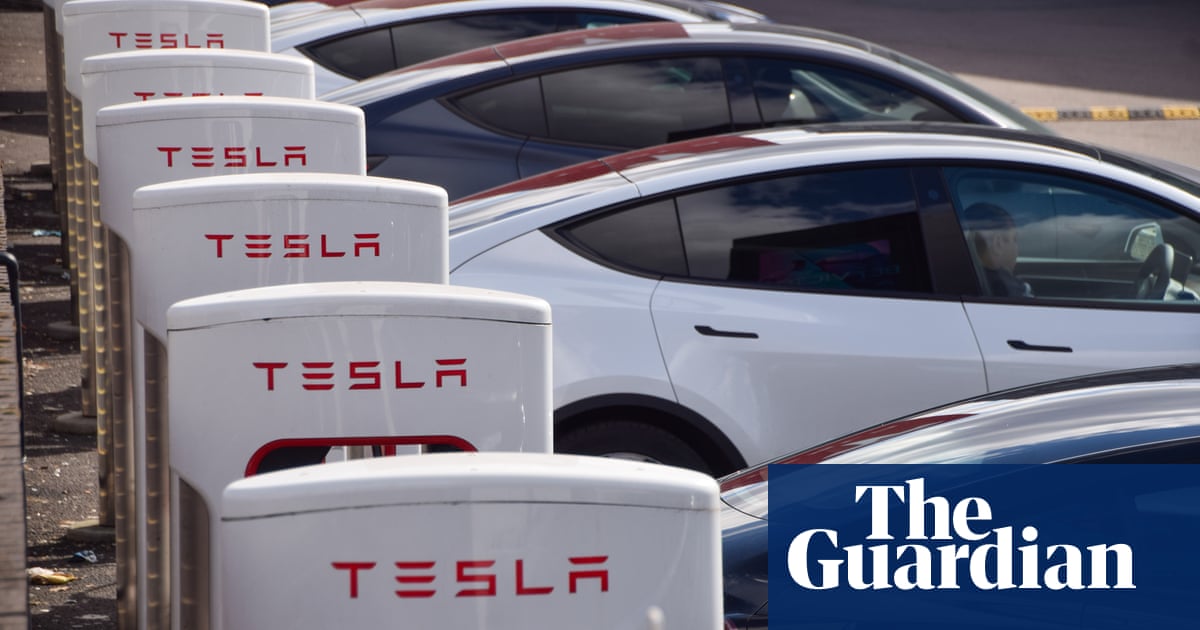 European tesla owners: passion for cars, not the ceo