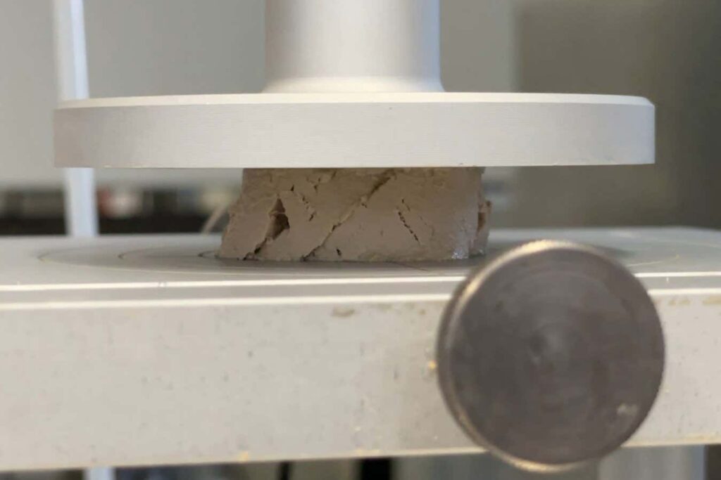 Foie gras created using molecular mimicry, without the need for