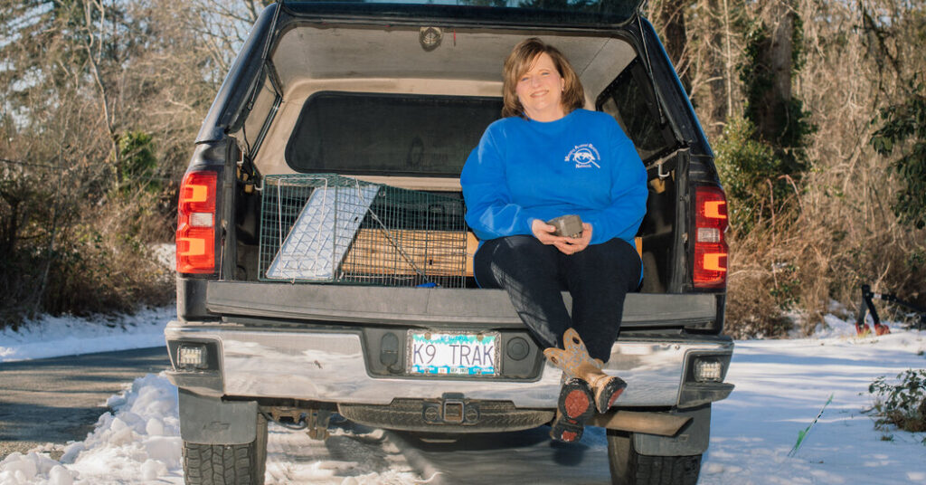 Insights from Kat, the Lost-Pet Detective Insights from kat, the lost pet detective