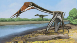 Montana excavation reveals new species of azdaltid miyashita