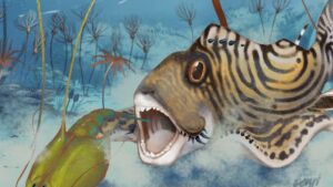 New shark species from the carboniferous identified by paleontologists