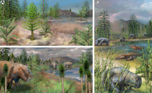 New fossil findings show a variety of terrestrial ecosystems 75,000