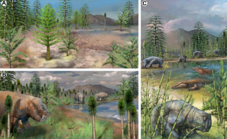 New fossil findings show a variety of terrestrial ecosystems 75,000 years post-Endopermian mass extinction New fossil findings show a variety of terrestrial ecosystems 75,000