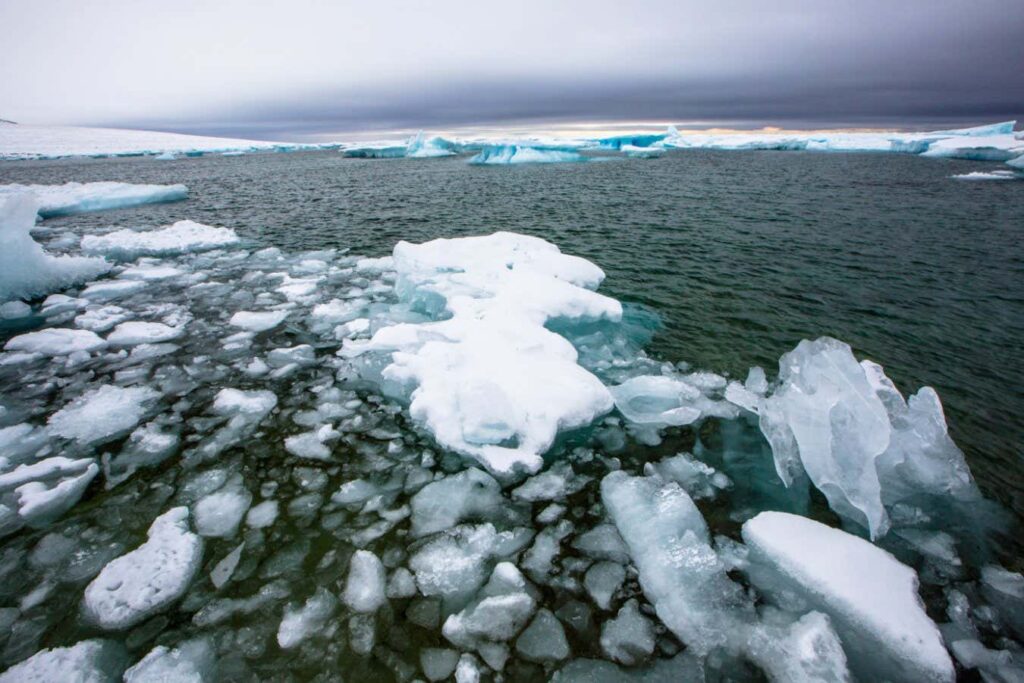 New record low levels of world sea ice have been