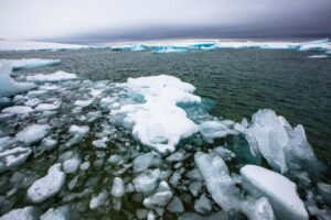 New record low levels of world sea ice have been