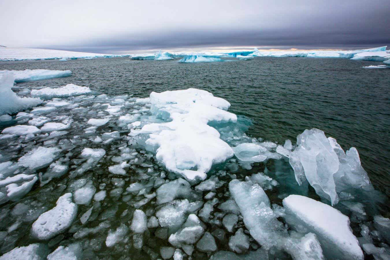New record low levels of world sea ice have been