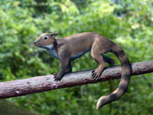 New research suggests early mammals possessed dark, dim greyish brown