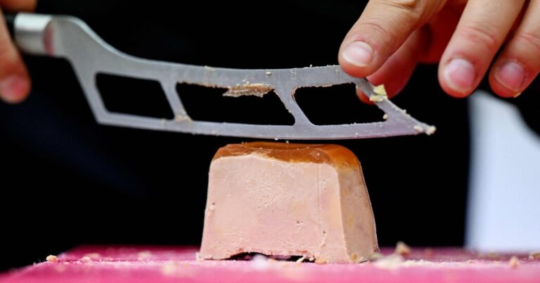 Physicists created a force feeding free version of foie gras