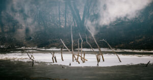 Planning your garden considerating climate change