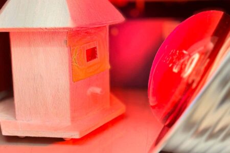 Rice and egg whites transform wood into a translucent window