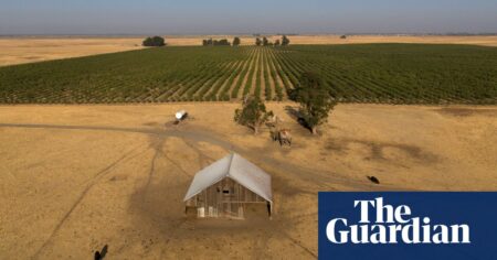 Tech Elite-backed California city stirs controversy with new development plans Tech elite backed california city stirs controversy with new development plans