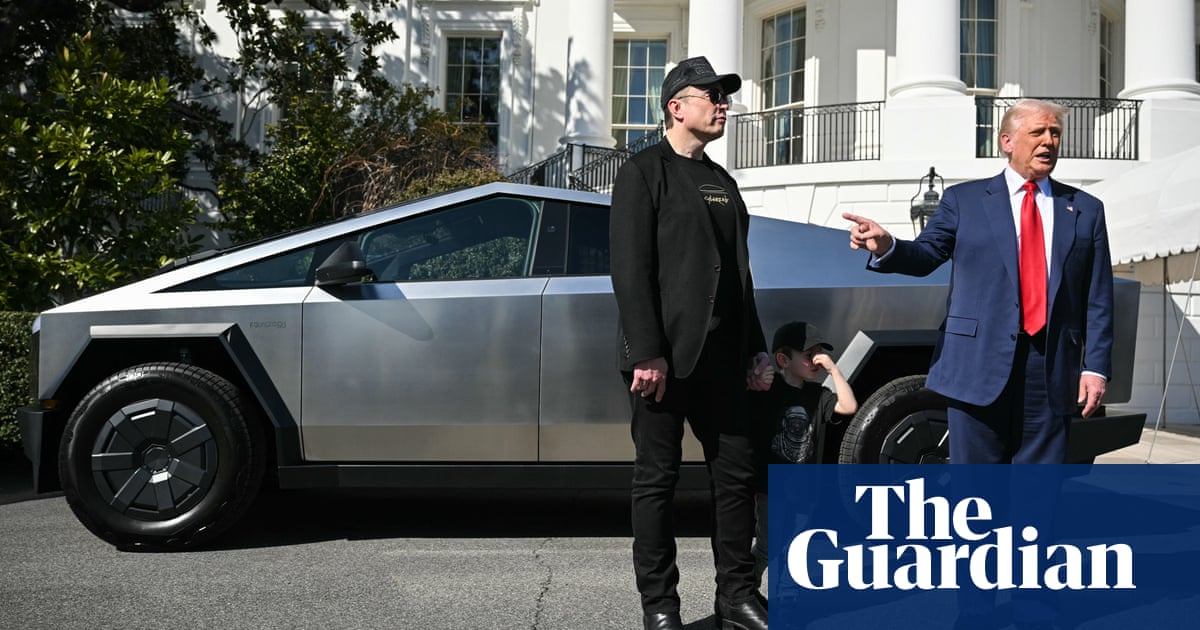 Tesla backers insist musk should lessen involvement with trump, according