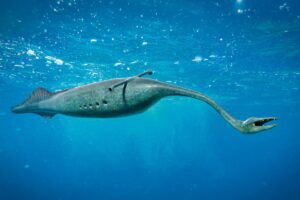 The turley monster mystery only grows stranger