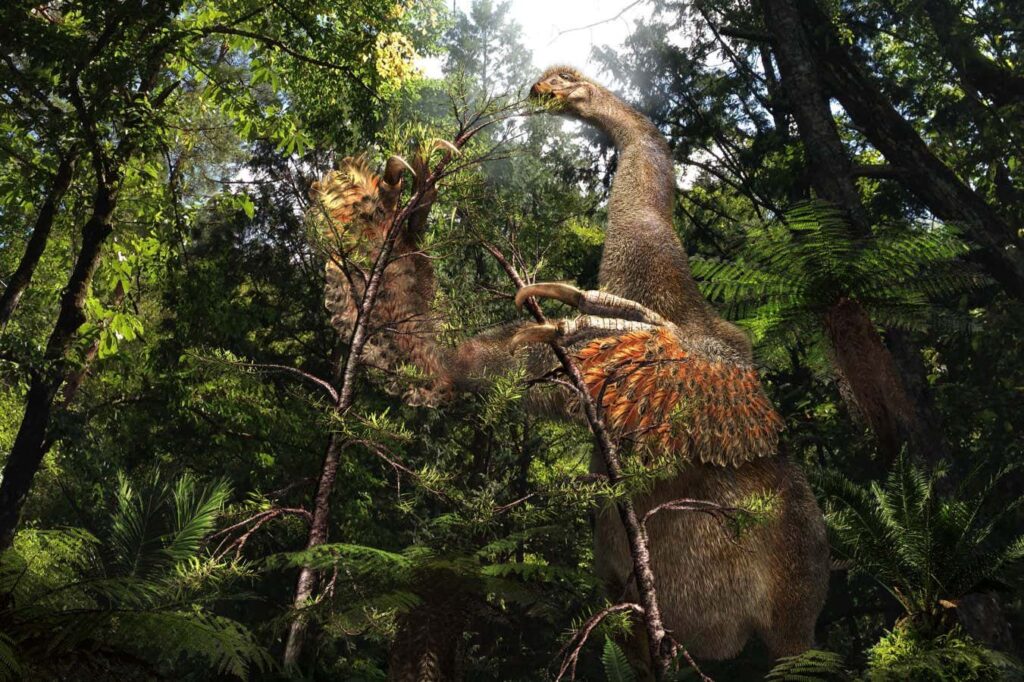 The dinosaur with two fingers used its massive claws to