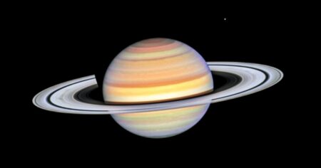 The disappearance of saturn's ring is only temporary this weekend
