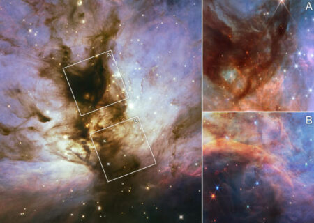 Webb's study highlights brown dwarfs in the fire nebula