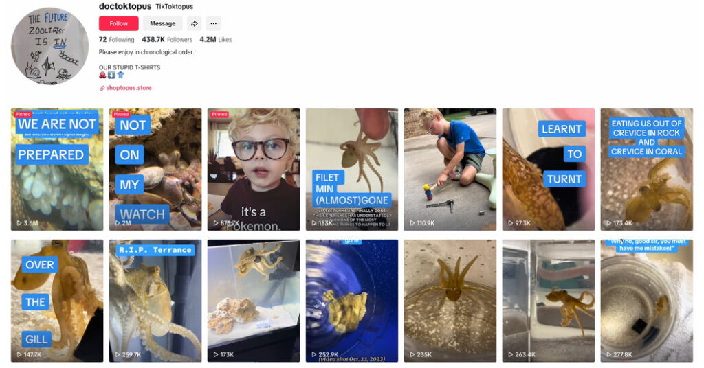 408 Tentacles: A Detailed Analysis 408 tentacles: a detailed analysis