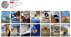 408 tentacles: a detailed analysis