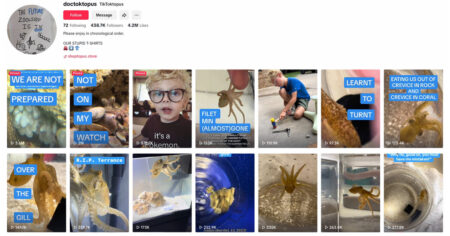 408 tentacles: a detailed analysis