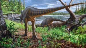 A small herbivorous dinosaur unearthed in scotland