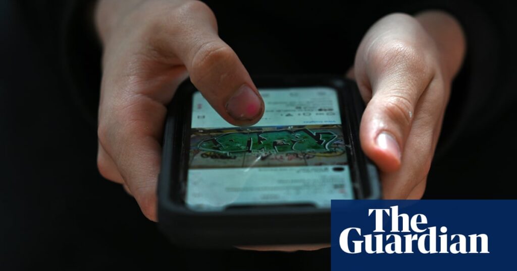 Campaigners urge not to ignore online safety laws for uk