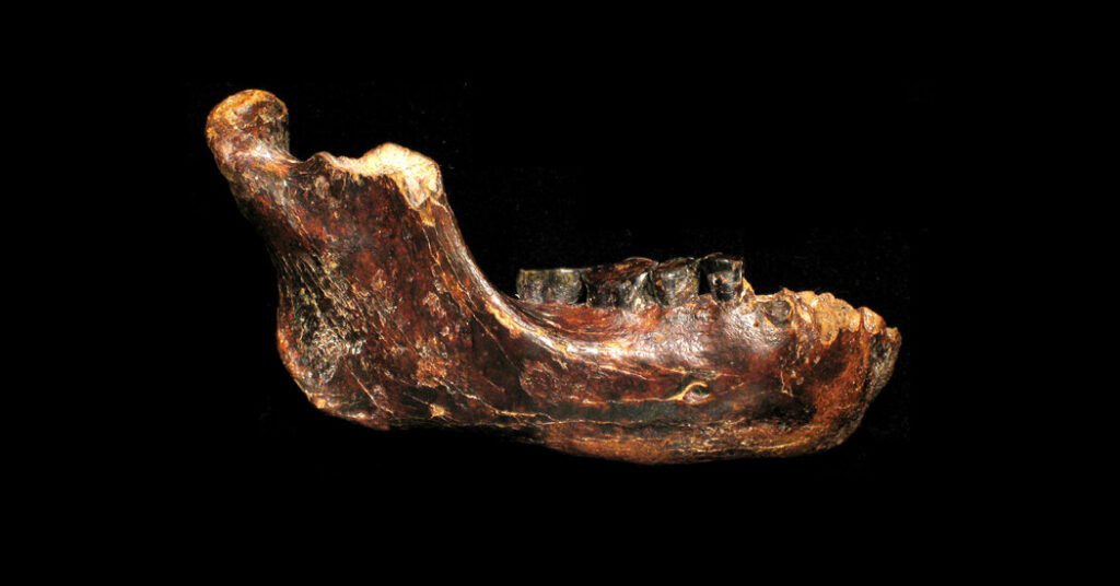 Denisovan expands its territory to the pacific coast of asia