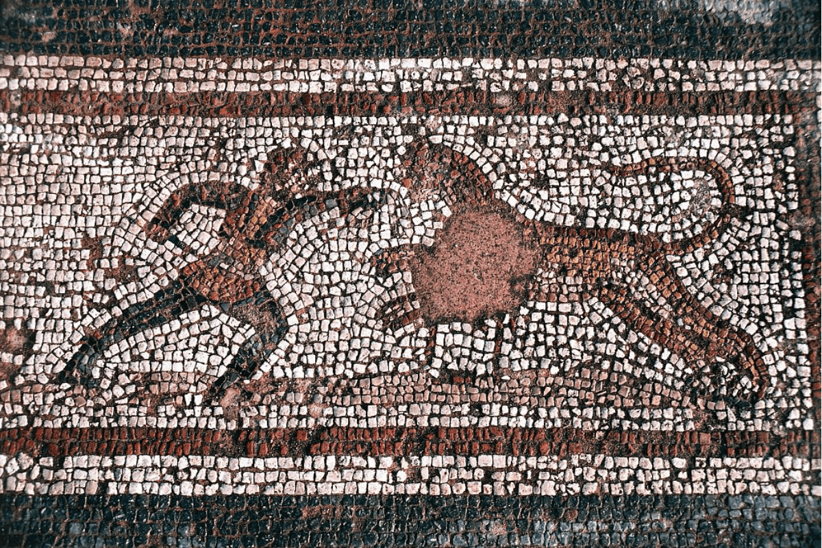 Eerie roman skeleton offers first clue that gladiators faced lions—and