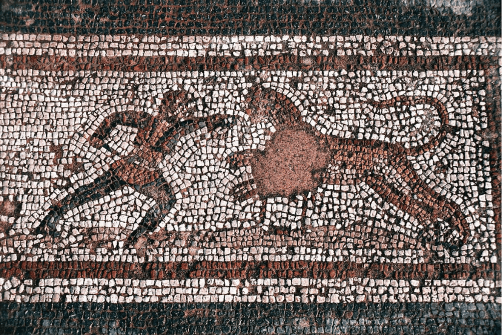 Eerie roman skeleton offers first clue that gladiators faced lions—and