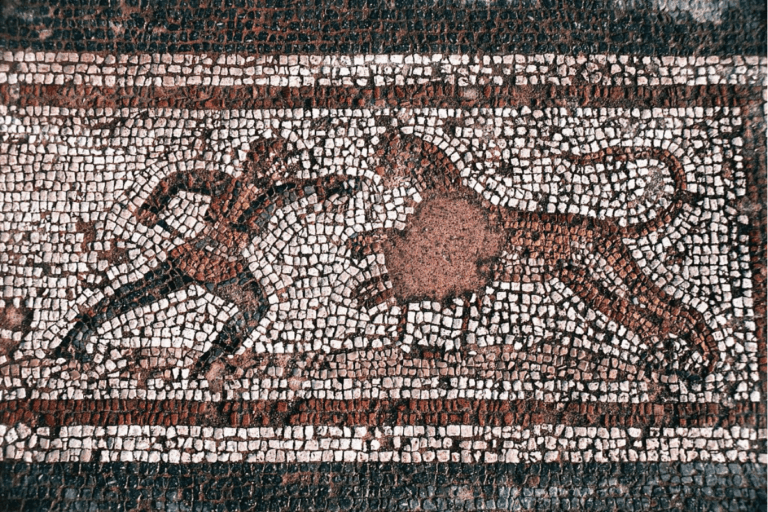 Eerie roman skeleton offers first clue that gladiators faced lions—and